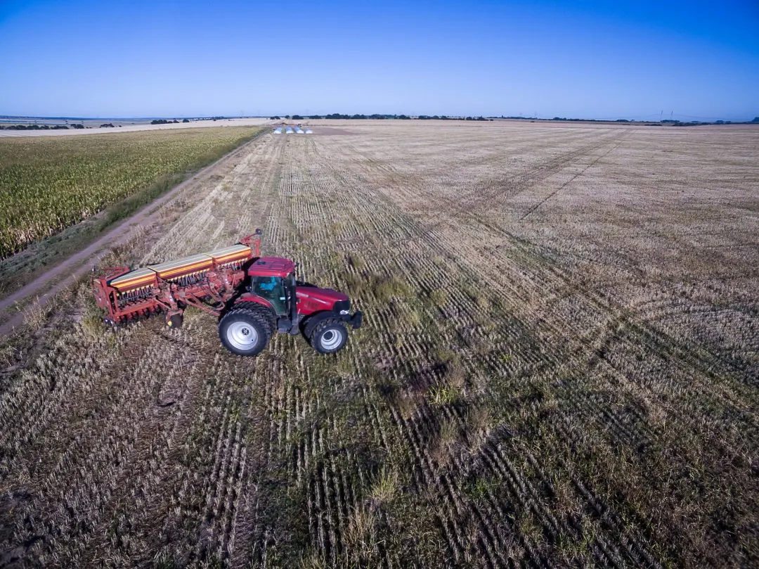 Plantio de soja no Paraná bate 28% e aperta o calendário da fazenda