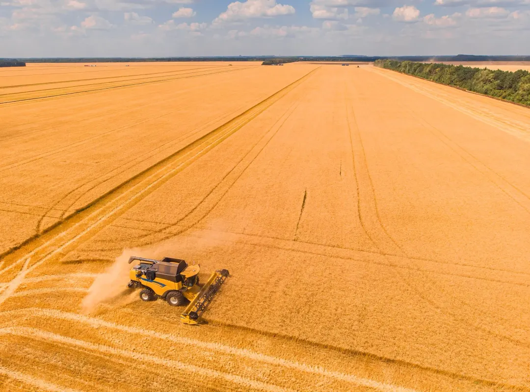 Senado aprova novas regras do seguro rural e crava prazo de 30 dias para a seguradora pagar a indenização
