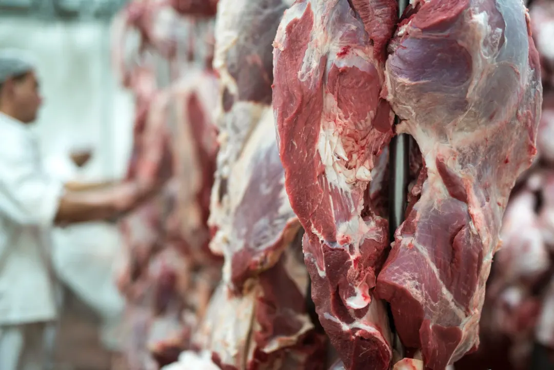 Cota de carne bovina do Mercosul para a Noruega: 111 toneladas em equivalente carcaça valem de 1º de novembro a 31 de dezembro