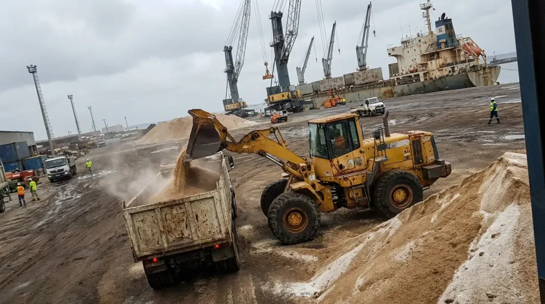 Granel no Porto de Santos: pá-carregadeira carregando açúcar no pátio do terminal